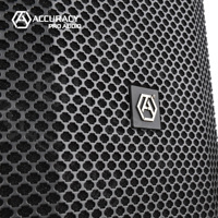 Précision Pro Audio AC46 10 pouces professionnel PA colonne haut-parleur extérieur colonne haut-parleur avec amplificateur de classe D
