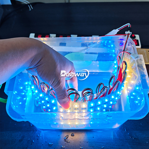 12V <strong>RGB</strong> <strong>Led</strong> <strong>Module</strong> <strong>Full</strong> <strong>Color</strong> 1.2W WS2811 Control IP68 Waterproof SMD 3030 3 <strong>Leds</strong> for Advertising Sign Decoration - Product Image 6