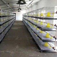 Petite cage à poulets à quatre étages, design vertical intégré, poulailler renforcé, sans alimentation électrique, pour usage agricole