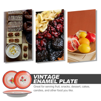 3pcs Plat alimentaire jetable de luxe vintage en métal émaillé Plateau de service à pizza Contenants à salade Plateau de fruits pour le camping 100pcs