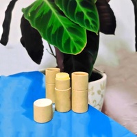 Noir Brun Blanc Vide Cosmétique Blush Push Up Déodorant Papier Tube Conteneur 0.3 Oz Carton Rouge À Lèvres Papier Tube Pour Baume À Lèvres