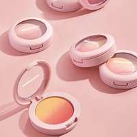 Boîte à poudre paquet boîtes à poudre en plastique logo personnalisé vide bébé blush conteneur boîte d'emballage de poudre