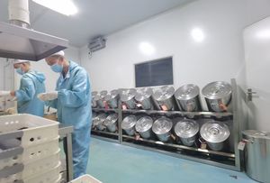 Suministro de fábrica 10%-50% Polvo de extracto de Dunaliella Salina-Extracto de microalgas naturales, rico en fucoxantina y betacaroteno - Product Image 5