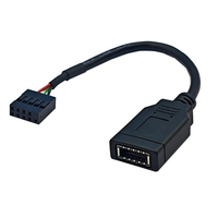 Câble d'extension de données adaptateur 9 broches pour carte mère 15 cm vers USB 2.0 AF + Type-E femelle