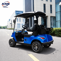 Voitures de golf électriques à prix de gros, mini-buggy 2 places, voiturette de golf motorisée à énergie nouvelle avec batterie au lithium 48V