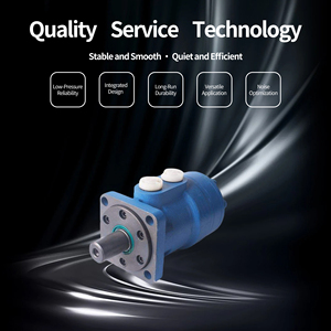 Motor Hidráulico Orbital de Alta Velocidad y Bajo Torque de Presión Media Serie BMP 36,50,80,100,125,160,200,250,315,375,500 para un Funcionamiento Eficiente - Product Image 5