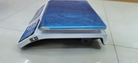Balance de pesage numérique Acs-809 de 40 kg en Chine, balance électronique d'étalonnage de 30 kg, Acs 220V 110V