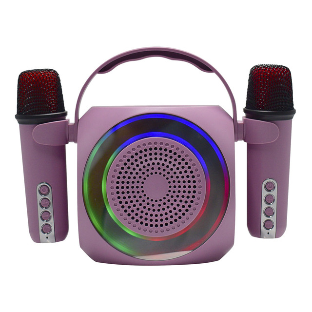 Wholesale Speaker Double Microphones Home Entertainment Outdoor Karaoke Machine With 2 Wireless Microphone