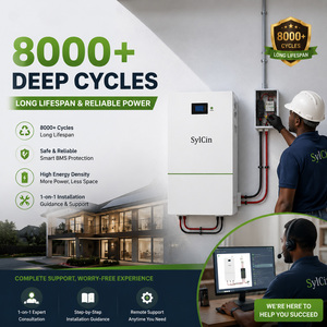 แบตเตอรี่ลิเธียม 5kWh 48v200ah สำหรับระบบโซลาร์เซลล์ 10kWh 15kWh แบบติดผนัง พร้อมระบบจัดการแบตเตอรี่อัจฉริยะ (Smart BMS) - Product Image 3