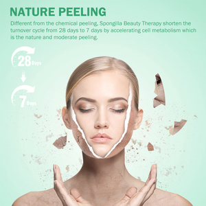 Spongilla SPicule bột 200-320μm thủy phân cho sinh học microneedling thâm nhập sâu hơn báo cáo thử nghiệm có sẵn 99% Top 70% - Product Image 6