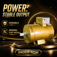 Générateur synchrone triphasé monophasé 3KW~50KW STC ST 380V 220V 50HZ 60HZ, tête de dynamo alternateur