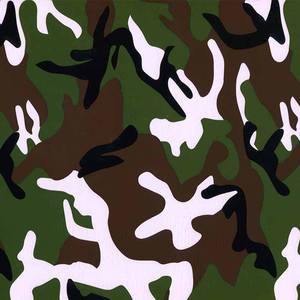 Film hydrographique de <span class=keywords><strong>camouflage</strong></span> numérique militaire à chaud, matériau PVA, épaisseur 30-40 µm, largeur 50 cm, accessoire automobile - Product Image 2