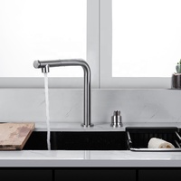 Robinet de cuisine escamotable à deux trous en acier inoxydable 304 avec pulvérisateur escamotable