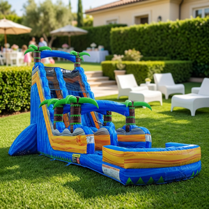 WINSUN Outdoor <b>Indoor</b> Commercial PVC Inflatable Water <b>Slide</b> with <b>Slide</b> - Product Image 1