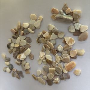 Mảnh vỡ mảnh sỏi móng tay nghệ thuật terrazzo trang trí sân vườn phụ kiện thủ công ngọc trai nghiền nát đầy màu sắc bào ngư vỏ tấm chip - Product Image 1