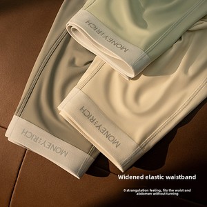 Heren Mid-Rise Ijs Zijde Boxershort Antibacteriële Cool Vier-Hoek Gebreid Nylon Ondergoed Ademend Naadloos Kledingstuk Geverfd - Product Image 4