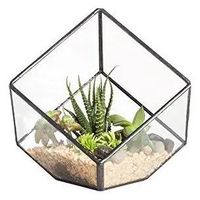 Vase de table en verre borosilicate pour plantes succulentes et plantes aériennes – Écologique, durable, design artistique moderne