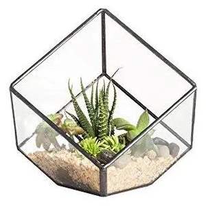 Recipiente de Vidrio para Terrario, Exhibición de Suculentas, Musgo o Plantas de Aire, Elegante Contenedor Transparente para Decoración Moderna del Hogar - Product Image 6