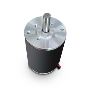 Fabrikant Hoogspanning 12V 24V 220 Volt Hoge Rpm 5000Rpm Elektrische Pmdc <span class=keywords><strong>350</strong></span> Watt <span class=keywords><strong>Dc</strong></span> <span class=keywords><strong>Motor</strong></span> - Product Image 3