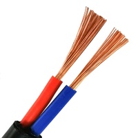 Cable Eléctrico Flexible Multifilar de Cobre con Aislamiento de PVC, 5 Hilos de 6 mm² y 3 Hilos de 2.5 mm², para Instalaciones Domésticas, 300/500V, IEC 60227