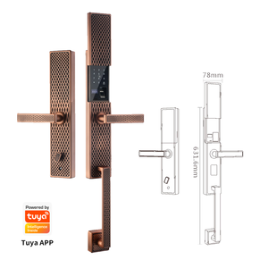 Antique Look Brass Lối Vào Cửa Thông Minh Khóa Vân Tay Kỹ Thuật Số Mật Khẩu Thẻ Đồng Giả Mạo Cổ Điển Đám Mây Cổ Điển Lưu Trữ Dữ Liệu - Product Image 1