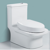 WC à la chinoise en céramique de Chaozhou avec couvercle de siège, double chasse d'eau, WC monobloc