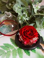 Roses éternelles, fleurs réelles préservées, faites à la main, boîte de fleurs en forme de cœur enchanté pour la Saint-Valentin, anniversaire