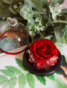 Rose Eterne Preservate, Fiori Veri in Scatola Regalo per San Valentino, Compleanni e Anniversari - Product Image 4