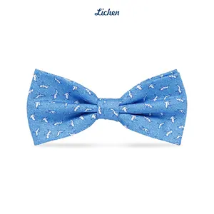 Sıcak satış yeni moda OEM papyon festivali ucuz dokuma Bowties Paisley özel Polyester erkekler papyon