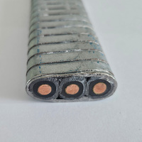 Câble de pompe submersible 3 * 4mm ² 12 AWG 5000V étanche pour pompes de puits solaires et profonds