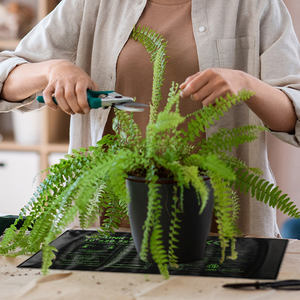 93*52c 36.6*20.47in Seedling Heat Mat, Durable Waterproof <b>Seed</b> Germination Heating Mat, Warm <b>Hydroponic</b> Plant Heating US Plug - Product Image 3