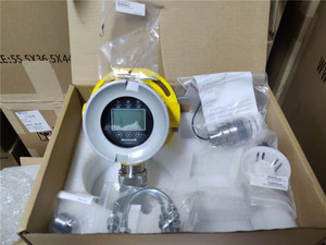 Detector de Gas RAEAlert FGM-3100 FGM-3100S NUEVO - Product Image 2