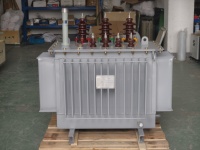 100kVA-2500kVA Üç Fazlı 35kV 60Hz Yağlı Tip Güç Trafosu Tam Bakır Dış Mekan Tipi Afrika Pazarı için
