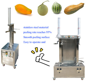 Máquina Peladora de Calabazas de Doble Cabezal de Nuevo Diseño y Alta Calidad, Máquina Multifuncional para Rallar Limones de Nuevo Diseño - Product Image 2