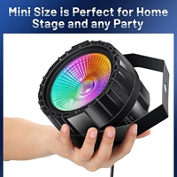 10W Smart DMX RGB Stage Par Lights COB LED avec télécommande vocale IP65 pour les fêtes d'anniversaire Disco