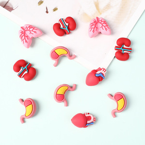 2025 nuovo stile di alta qualità 3D organo a tema medico Silicone perline focali per penne - Product Image 5