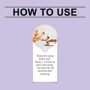 Spray Orgánico para el Cuidado <span class=keywords><strong>Bucal</strong></span> <span class=keywords><strong>de</strong></span> Mascotas 100ml, Aliento Fresco, Dientes Limpios, Fórmula Suave, Ideal para <span class=keywords><strong>Perros</strong></span> y Gatos, Suministro Directo <span class=keywords><strong>de</strong></span> Fábrica, Venta al Por Mayor, OEM - Product Image 6