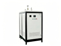 Générateur de vapeur électrique vertical automatique industriel LDR haute efficacité en acier