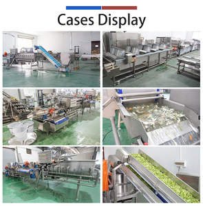 สายการผลิตผักสดหั่นสำเร็จรูปอัตโนมัติครบวงจร - Product Image 6
