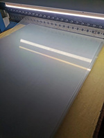 Vente en gros de fenêtre de rouleau de film PET en plastique transparent écologique pour animaux de compagnie