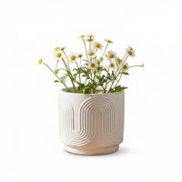 FANGSHENG Pots de fleurs en céramique à rayures courbes au design moderne, émaillés, de haute qualité, personnalisables, pour l'intérieur/l'extérieur, Chine Guangdong