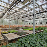 Installations agricoles hydroponiques à grande portée, économiques et personnalisées, recouvertes de film, pour tomates et concombres, entièrement automatisées, ZHUOTAI