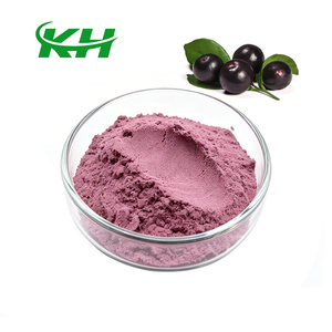 Poudre de baies d'açaï de qualité alimentaire pure à 99 %, soluble dans l'eau, poudre de jus de baies d'açaï - Product Image 1