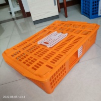 ZZ LMC03 Boîte de chiffre d'affaires pour oiseaux Cage de transport de poussins en plastique Panier de transport de caille de volaille