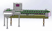 PLC-gestuurde garnalensorteermachine voor vis en fruit, gewichtssortering, 1 jaar garantie, 240 kg getest & gecertificeerd