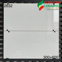 Carreaux Muraux Brillants Salle de Bain Cuisine 300x600, Carreaux Céramiques Gris Murs de Salle de Bain, Carreaux Muraux Intérieurs Blanc Pur