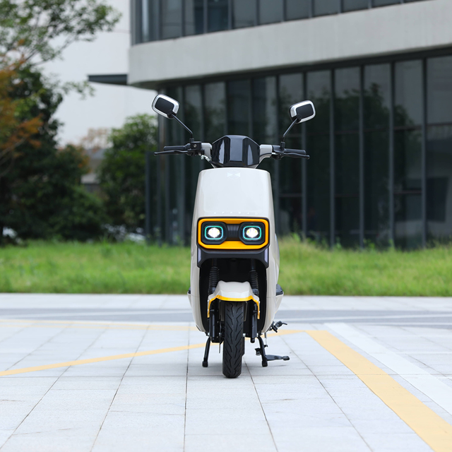 High Quality Cheap Hot Sale Electric Scooter Professional Top Speed 45 km/h Range 60-70 km Electric Motorcycles