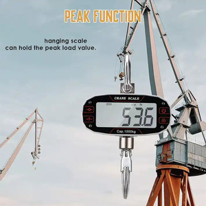 मिनी डिजिटल क्रेन स्केल उच्च परिशुद्धता 100/200/300/500/1000 किलोग्राम क्षमता एलसीडी ओएम प्रमाणित इलेक्ट्रॉनिक हैंग स्केल - Product Image 5