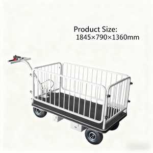 1600*790 मिमी बड़े प्लेटफॉर्म इलेक्ट्रिक ट्रॉली फोल्डेबल डिजाइन 1845x790x1360 मिमी समग्र आकार भारी शुल्क औद्योगिक रसद ओएम - Product Image 4