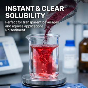 Poudre d'extrait de carotte noire naturelle de haute pureté Anthocyanine Vitamine C Carotène noir Extraction par solvant Qualité alimentaire - Product Image 4